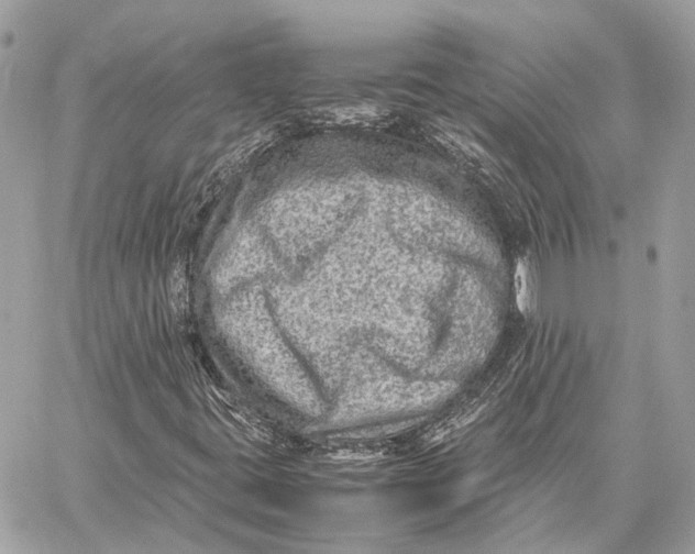 X0000059251395200511041321