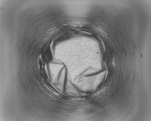 X0000059251396200511041321