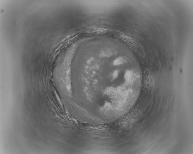 X0000059251397200511041321