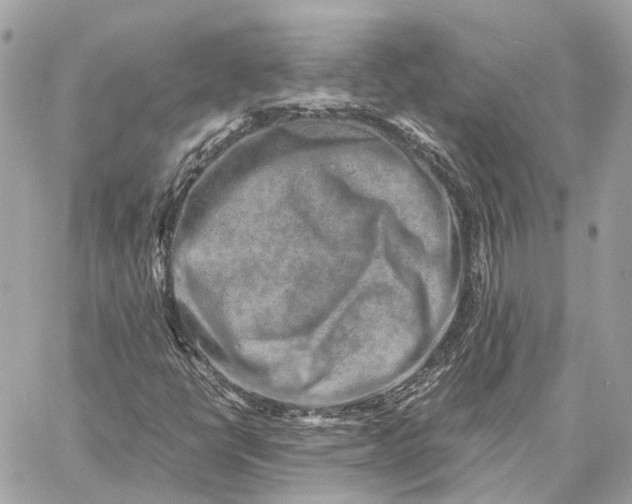 X0000059251398200511041322