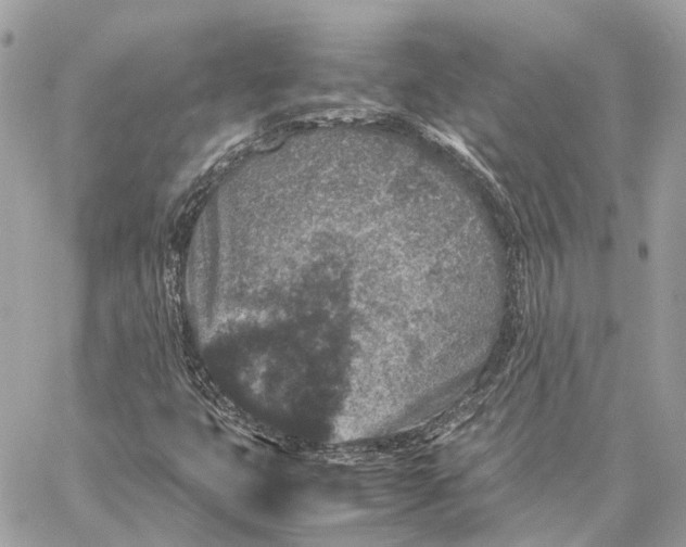 X0000059251399200511041322