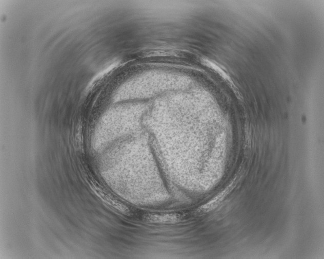 X0000059251403200511041322