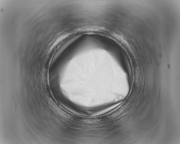 X0000059251404200511041322