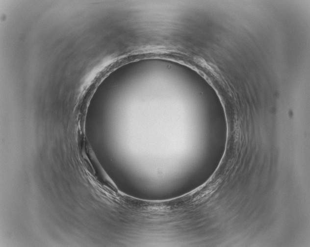 X0000059251406200511041322