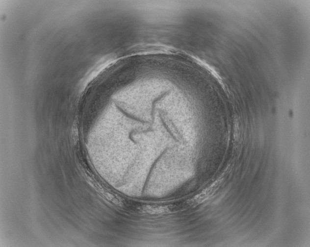 X0000059251407200511041322