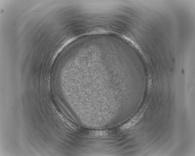 X0000059251409200511041322