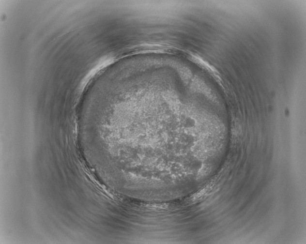 X0000059251411200511041322