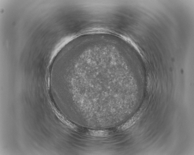 X0000059251413200511041322