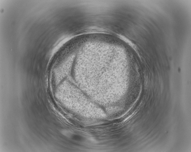 X0000059251415200511041322