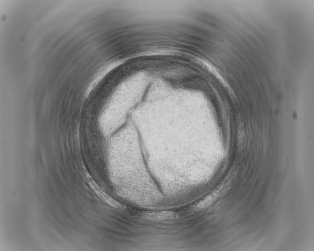 X0000059251417200511041322