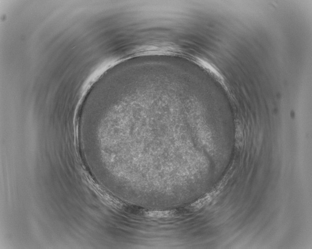 X0000059251419200511041322