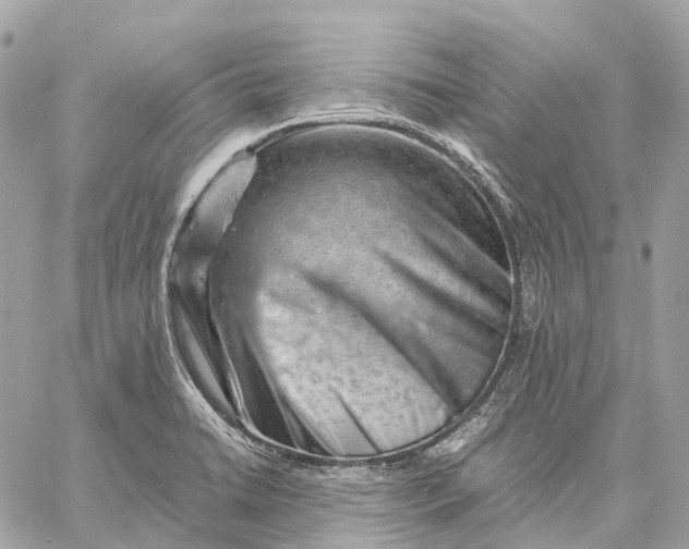 X0000059251422200511041322