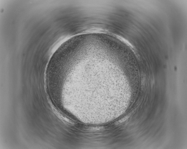 X0000059251423200511041322