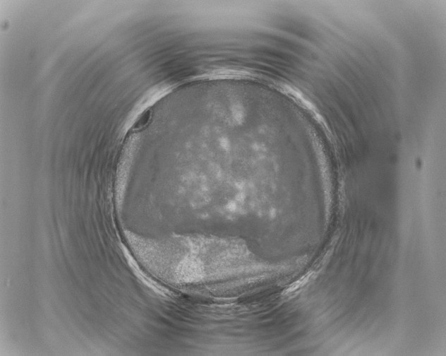 X0000059251425200511041322