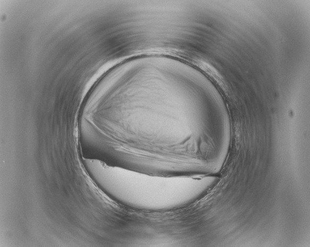 X0000059251428200511041322