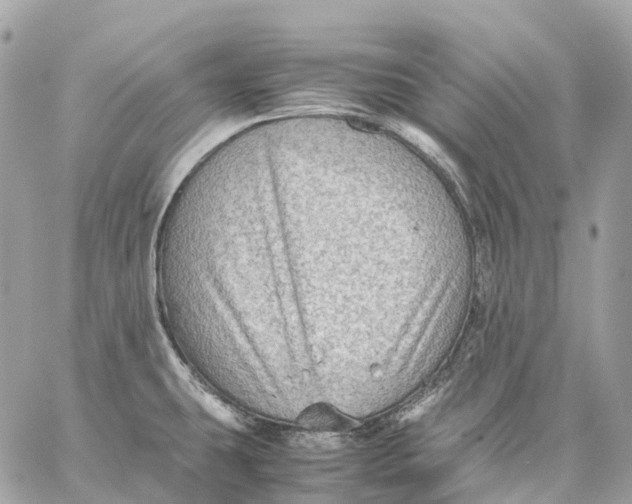 X0000059251431200511041322