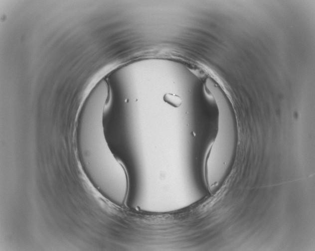 X0000059251434200511041322