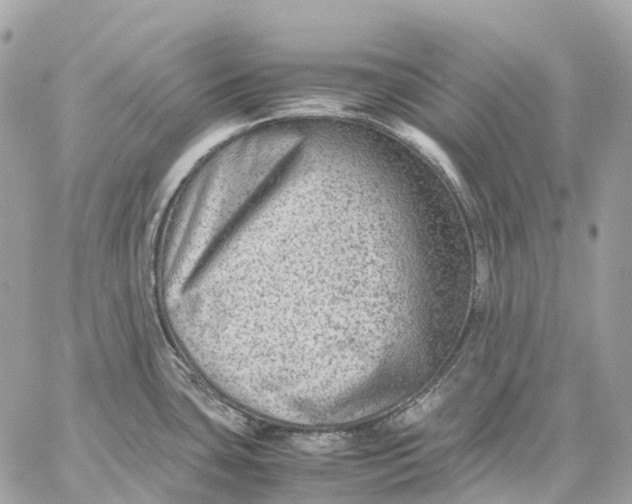 X0000059251435200511041322