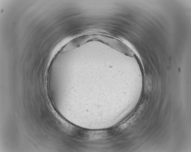 X0000059251437200511041322