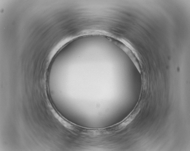 X0000059251438200511041322