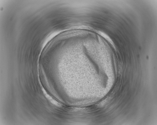 X0000059251439200511041322