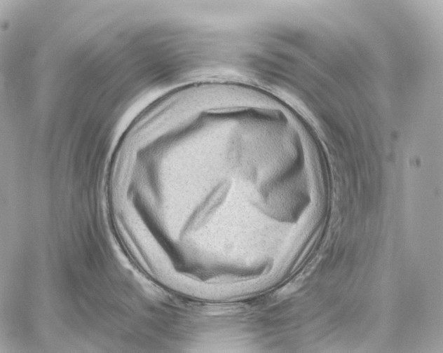 X0000059251440200511041322