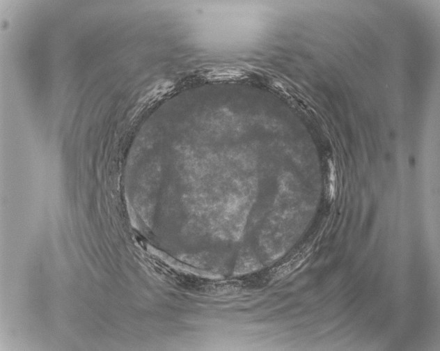 X0000059251441200511041321