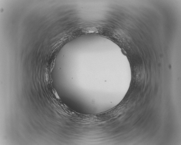 X0000059251442200511041321