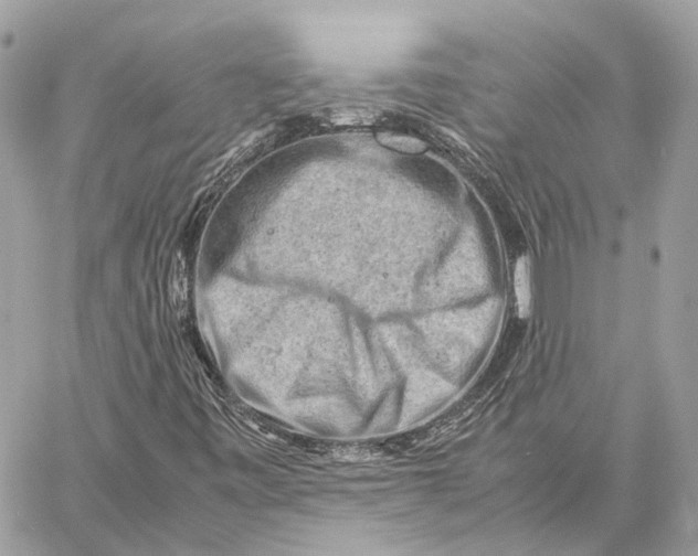 X0000059251443200511041321