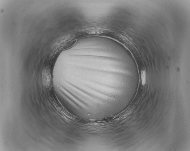 X0000059251444200511041321