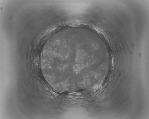 X0000059251445200511041321