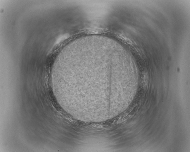 X0000059251446200511041321