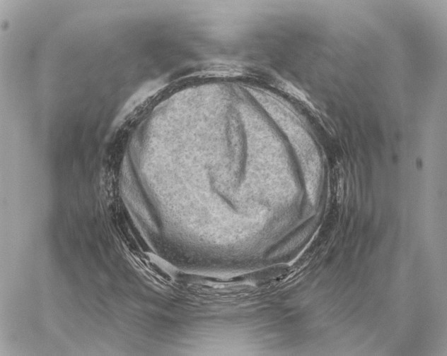 X0000059251448200511041321