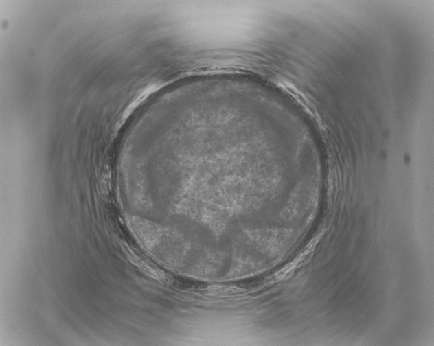 X0000059251449200511041321