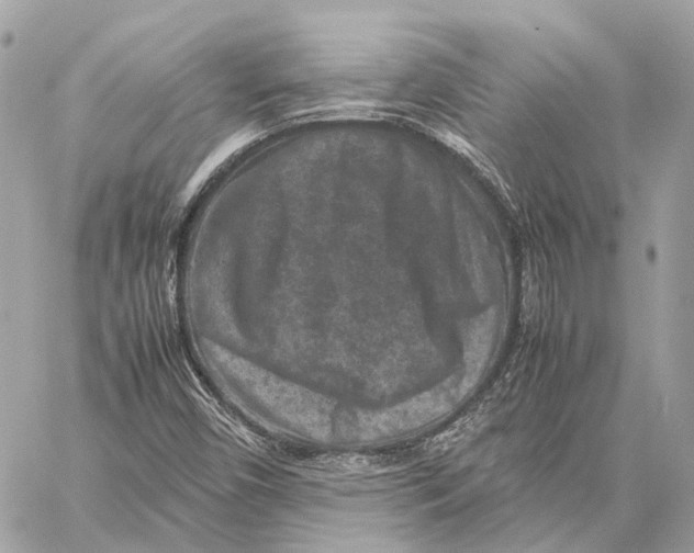 X0000059251450200511041321