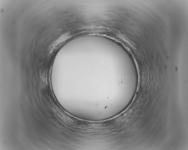 X0000059251451200511041321