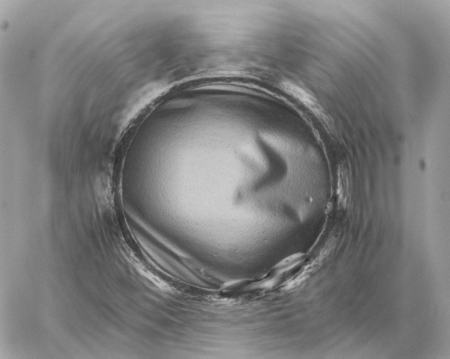 X0000059251452200511041321