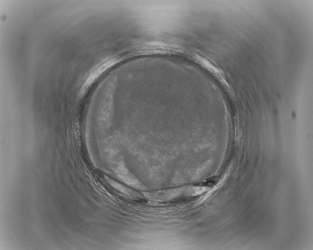 X0000059251453200511041321