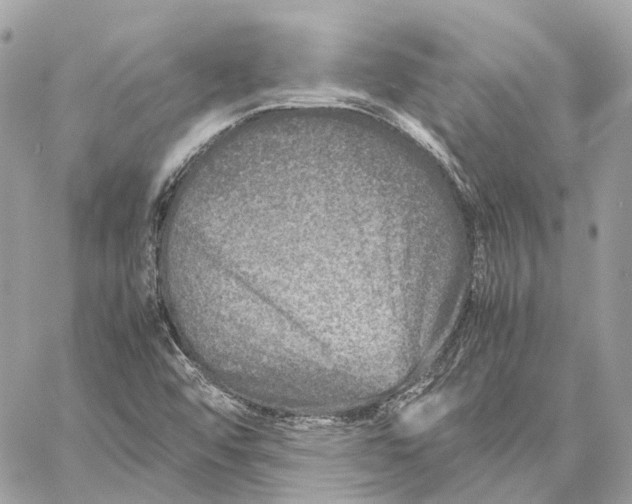 X0000059251456200511041321