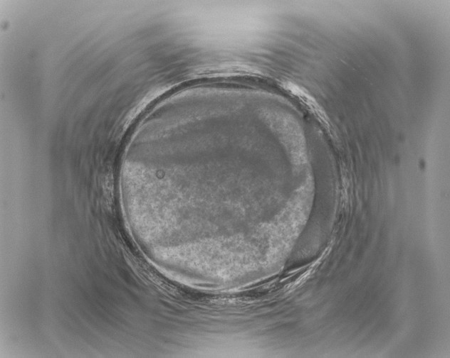 X0000059251457200511041321