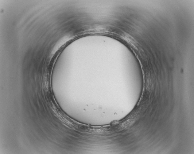 X0000059251458200511041321