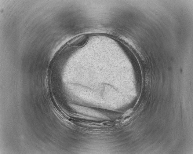 X0000059251460200511041321