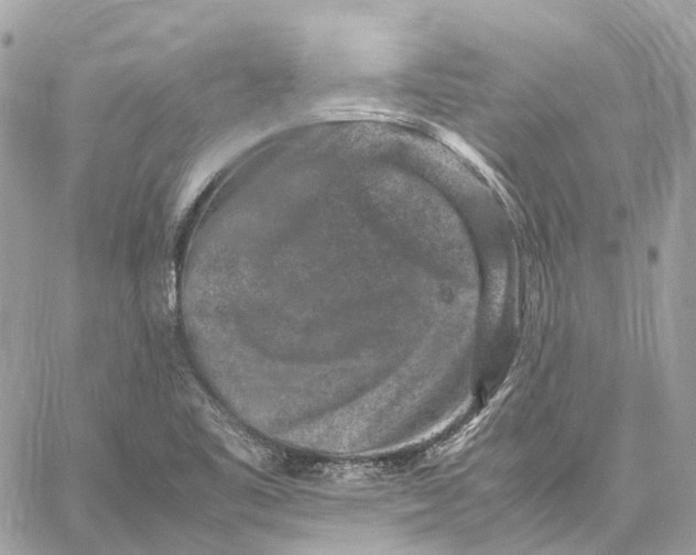 X0000059251461200511041321