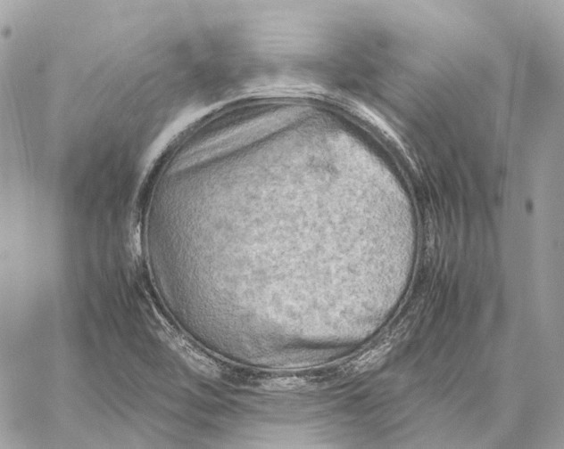 X0000059251462200511041321