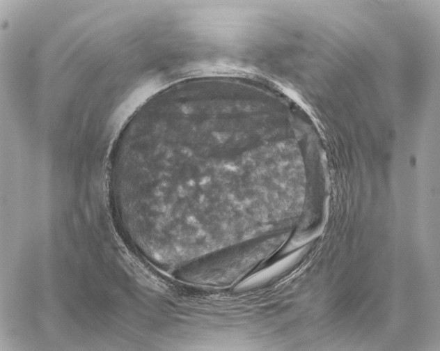 X0000059251463200511041321