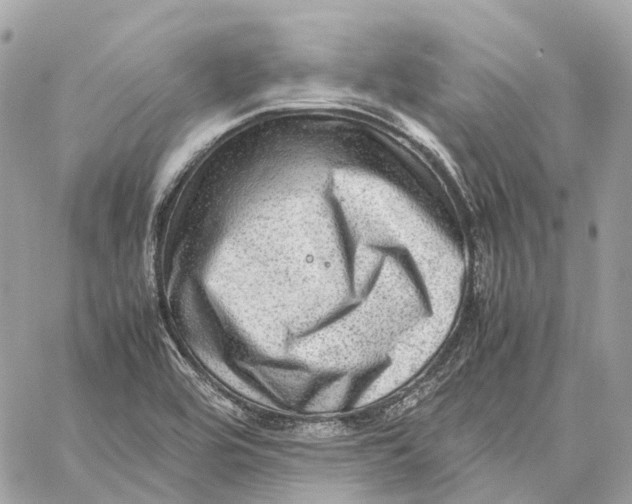 X0000059251464200511041321