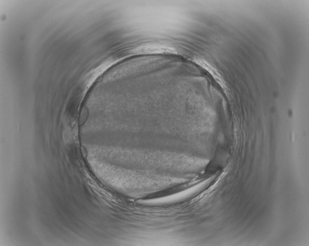 X0000059251465200511041321