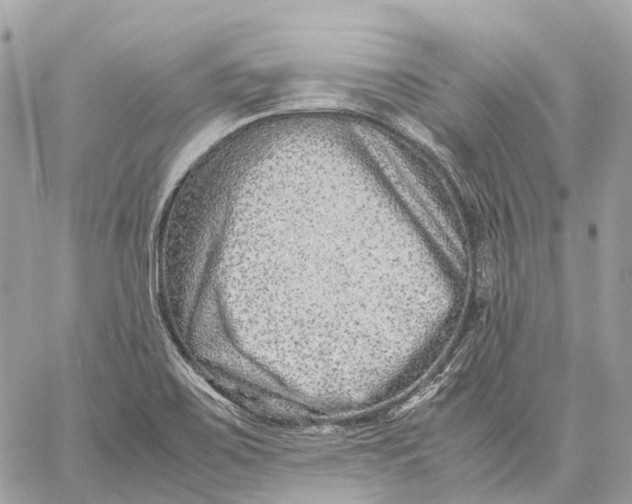 X0000059251467200511041321