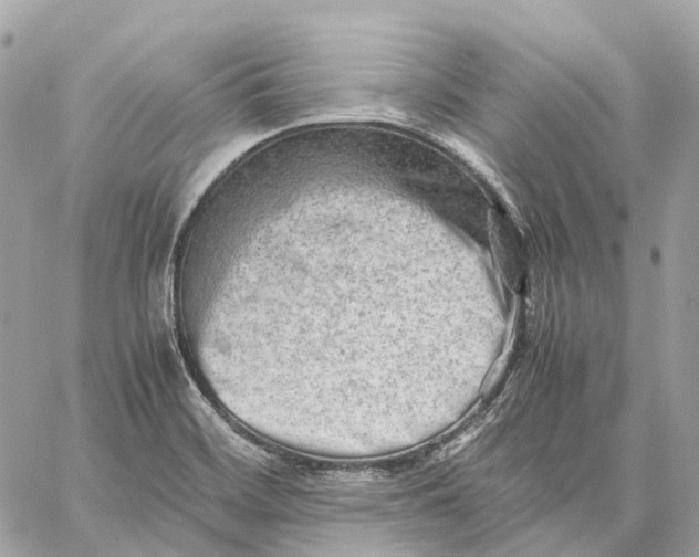 X0000059251468200511041321