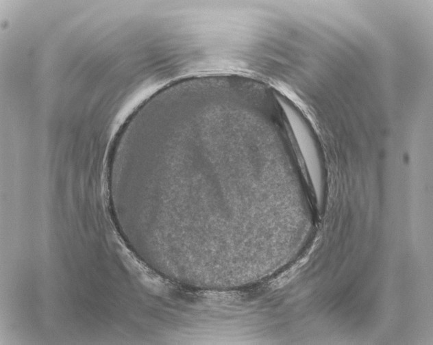 X0000059251469200511041321